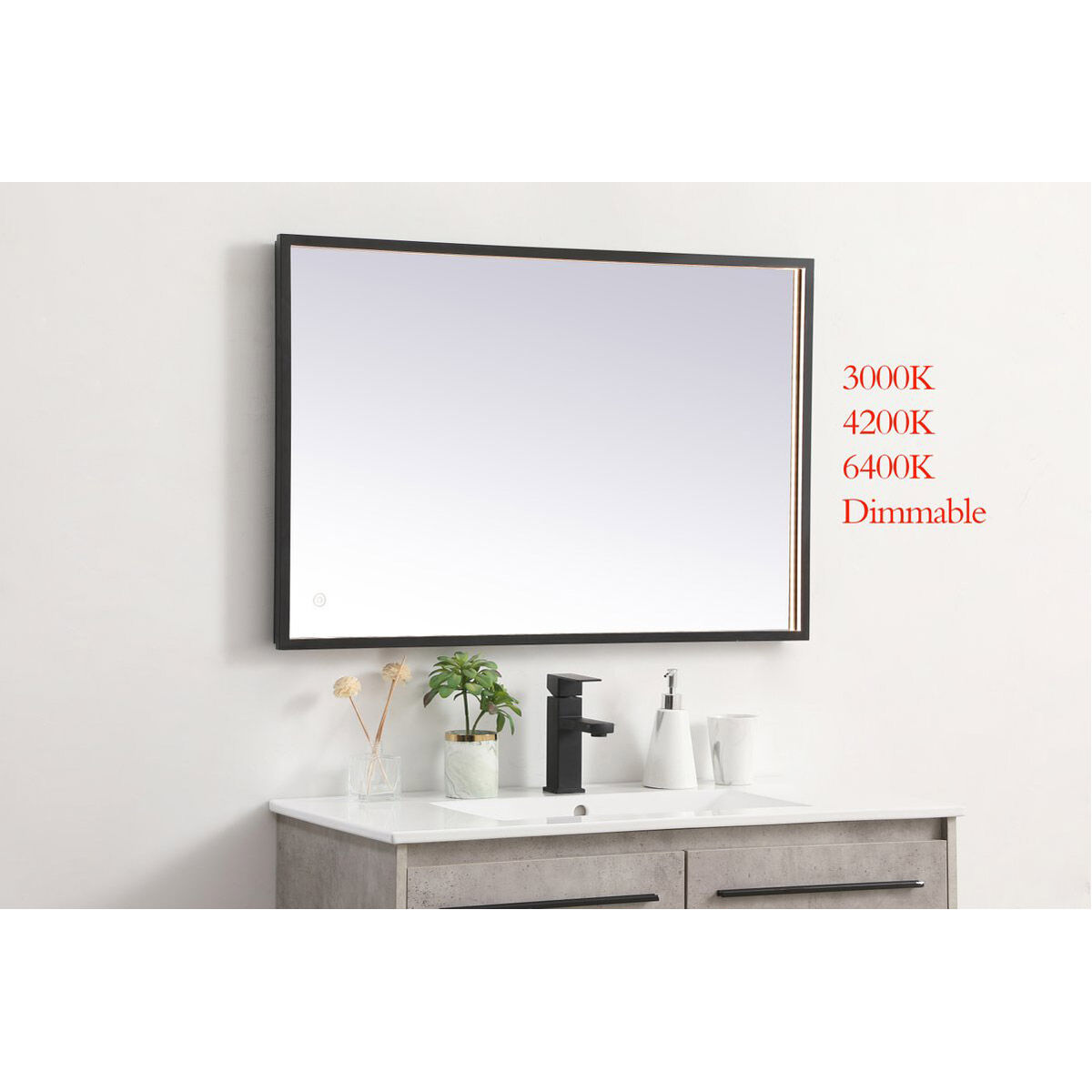 Pier 40 X 20 inch Black LED Mirror