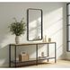 Remy 40 X 22 inch Black Mirror