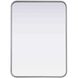 Remy 30 X 22 inch Silver Mirror