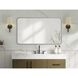 Remy 40 X 24 inch Silver Mirror
