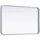 Remy 36 X 22 inch Silver Mirror