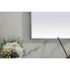 Blaire 39 X 24 inch Silver Mirror