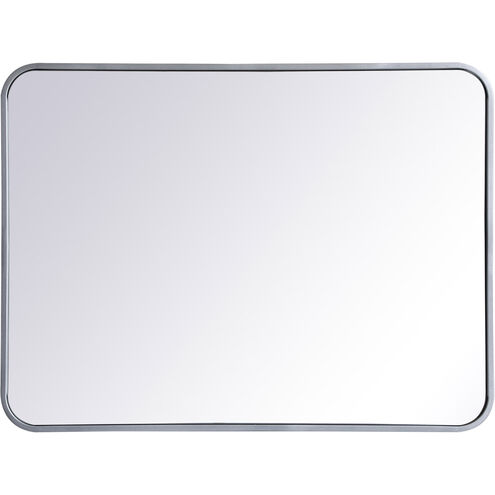 Evermore 32 X 24 inch Silver Mirror