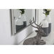 Monet 48 X 30 inch Silver Wall Mirror