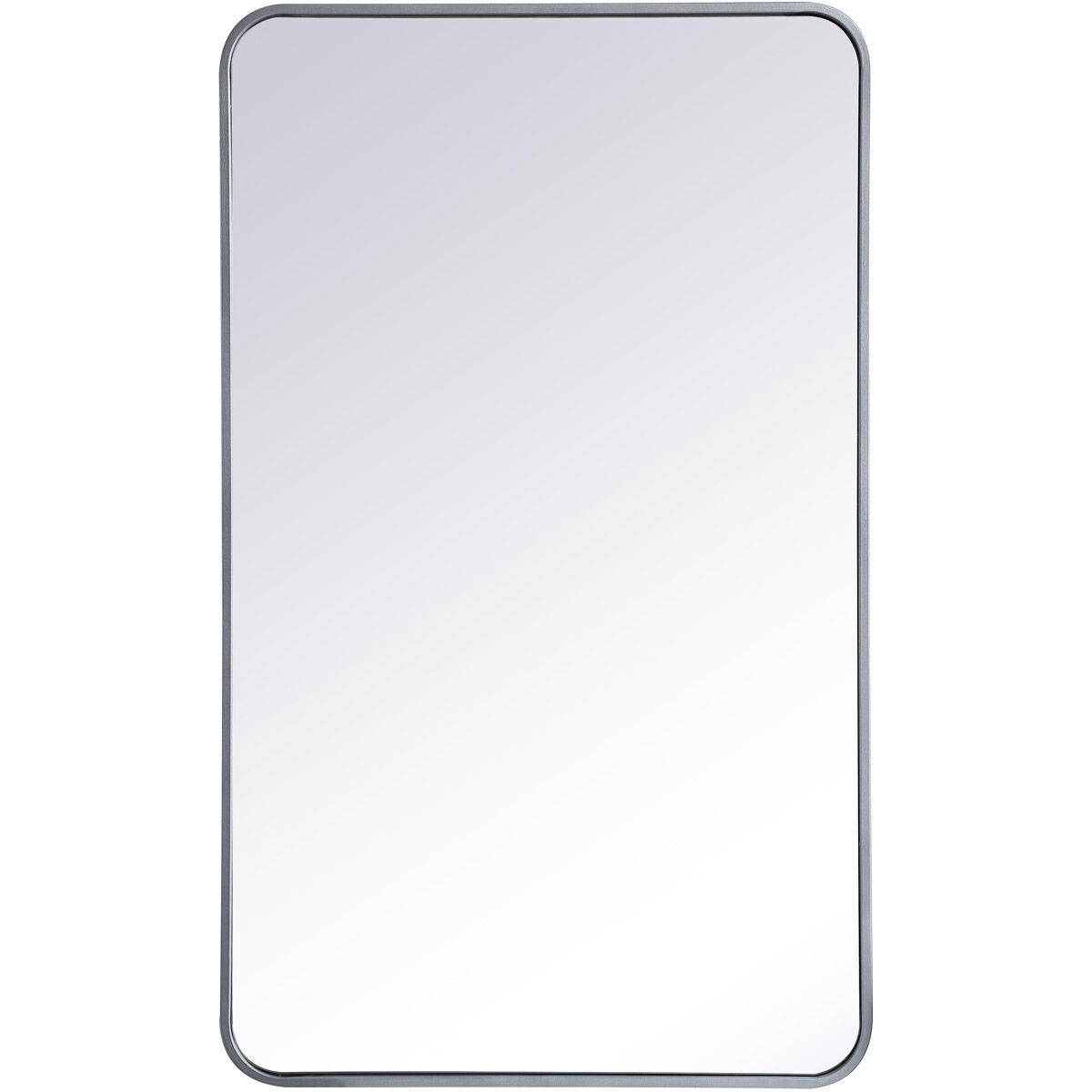 Evermore 40 X 24 inch Silver Mirror