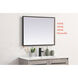 Pier 36 X 20 inch Black LED Mirror
