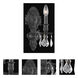 Monarch 1 Light 5 inch Dark Bronze Wall Sconce Wall Light in Clear, Royal Cut