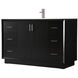 Hayes 54 X 22 X 35 inch Black Vanity Sink Set