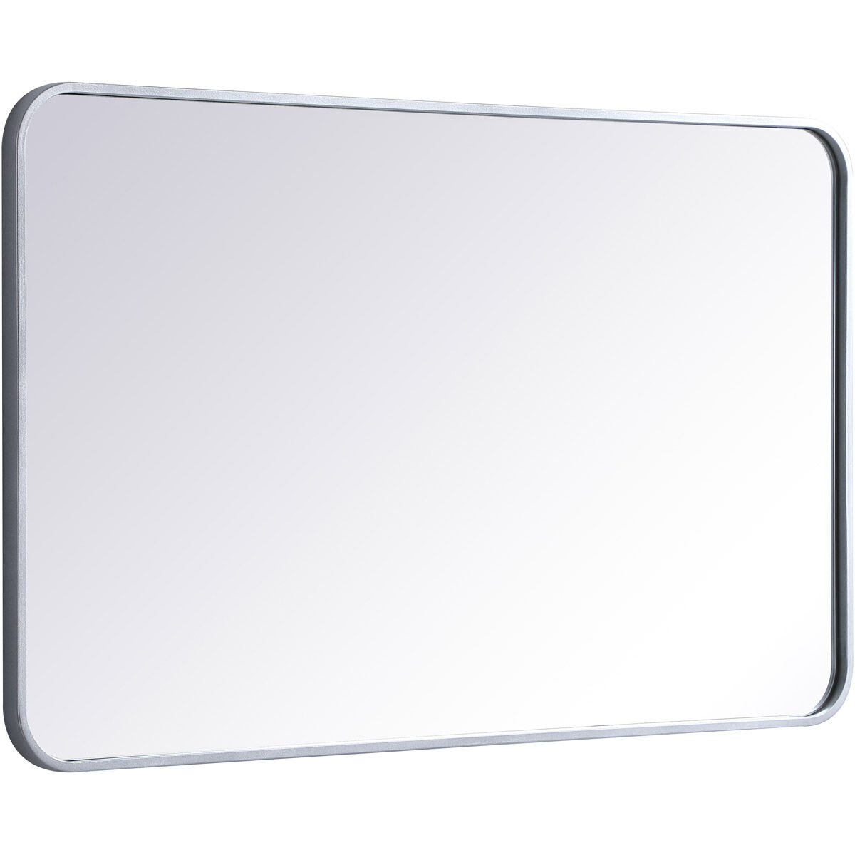 Evermore 40 X 24 inch Silver Mirror