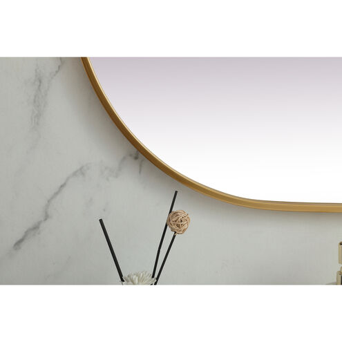 Asha 48 X 24 inch Brass Mirror in 24 x 48