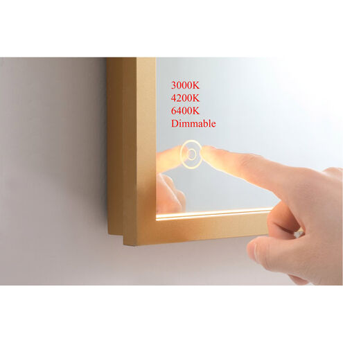 Pier 40 X 20 inch Brass LED Mirror