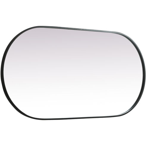 Asha 48 X 24 inch Black Mirror in 24 x 48