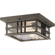 Outdoor Ceiling Lights