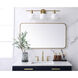 Evermore 40 X 22 inch Brass Mirror