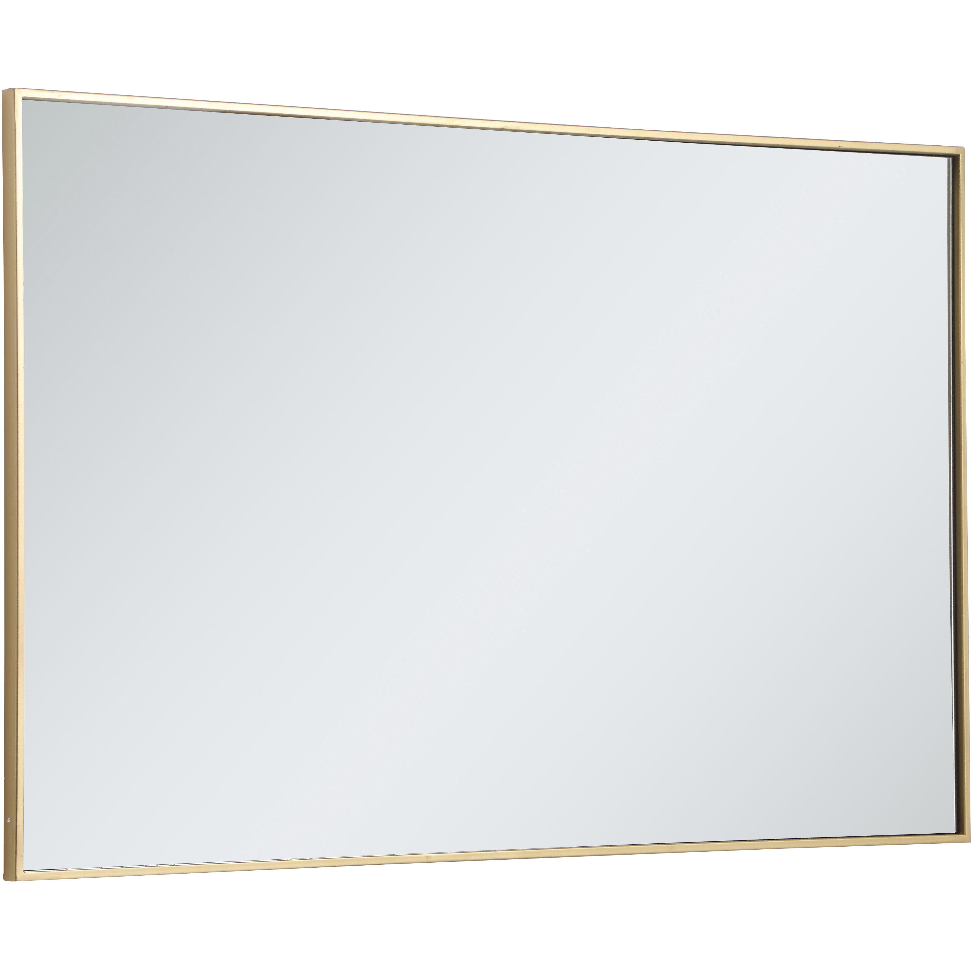 Monet 48 X 30 inch Brass Wall Mirror