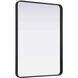 Remy 40 X 30 inch Black Mirror