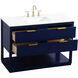 Larkin 48 X 22 X 34 inch Blue Vanity Sink Set