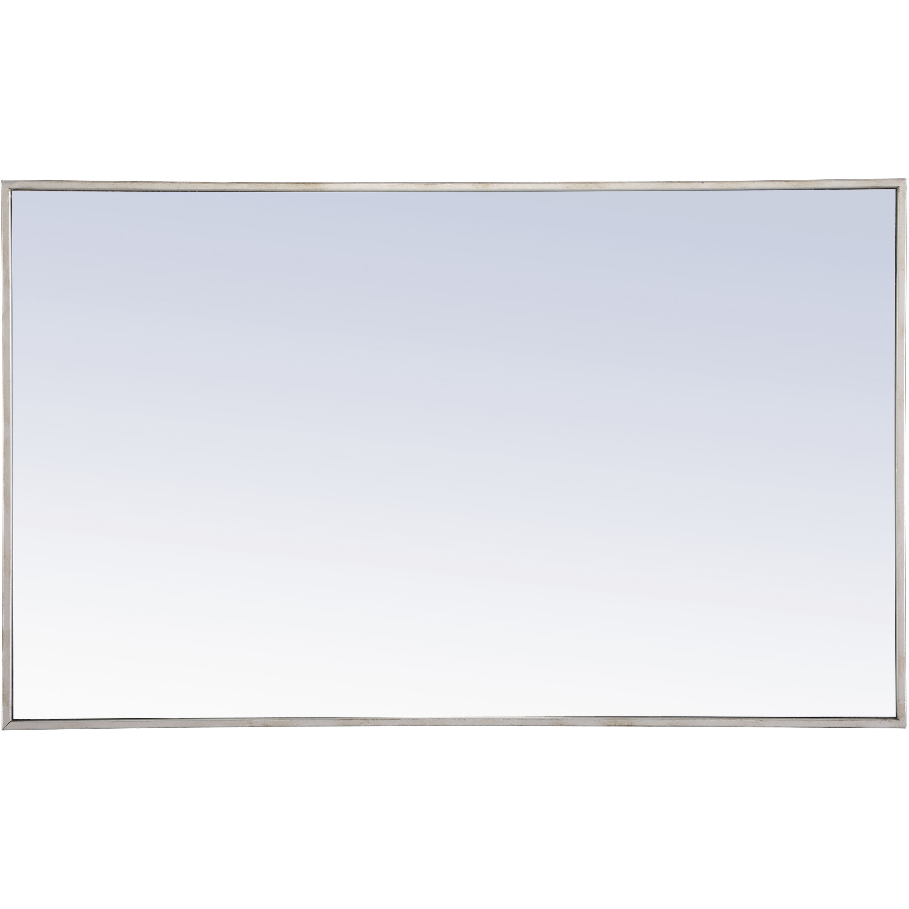Monet 40 X 24 inch Silver Wall Mirror