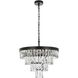 Josephine 10 Light 20 inch Black Chandelier Ceiling Light