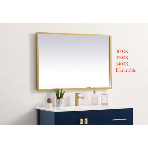 Pier 40 X 20 inch Brass LED Mirror