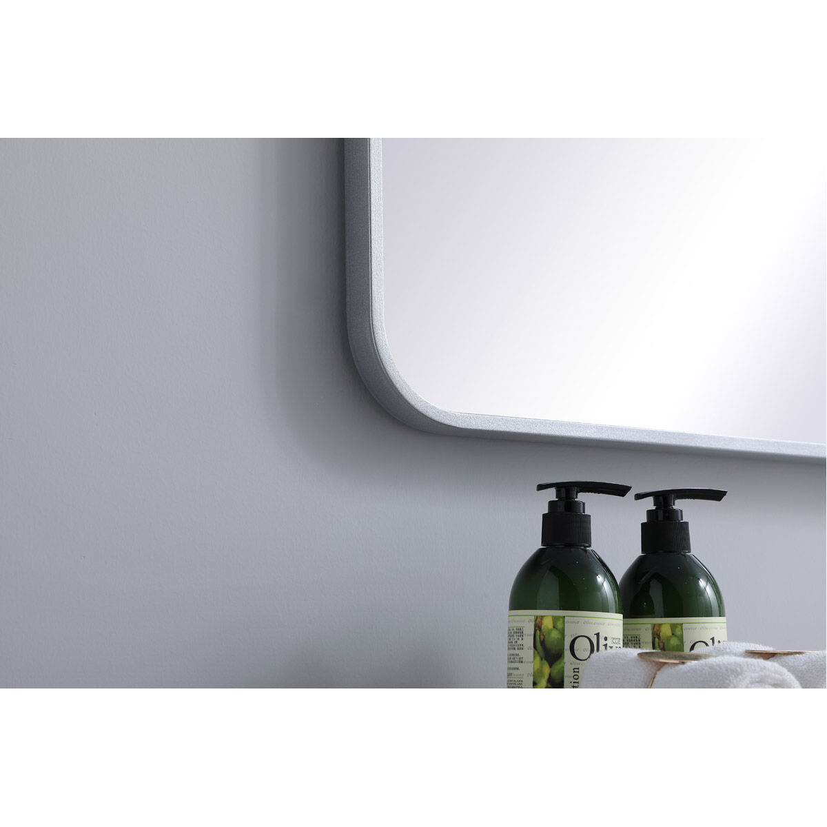 Evermore 40 X 24 inch Silver Mirror