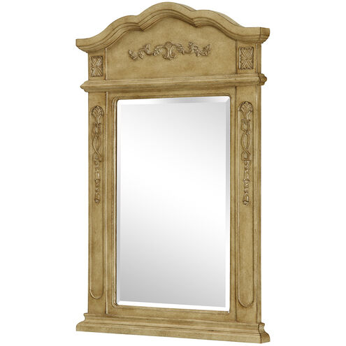 Vanity 36 X 24 inch Antique Beige Wall Mirror