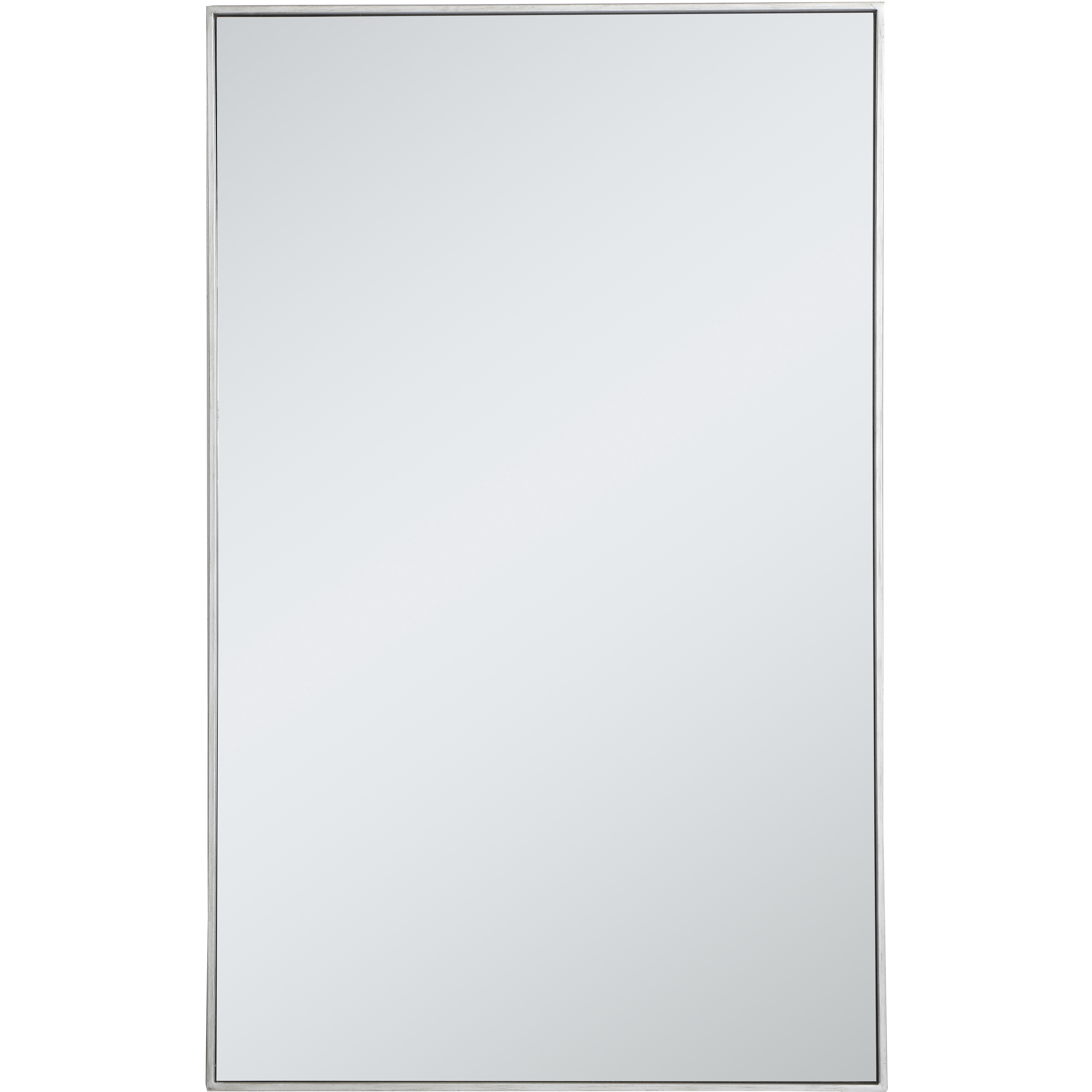 Monet 48 X 30 inch Silver Wall Mirror