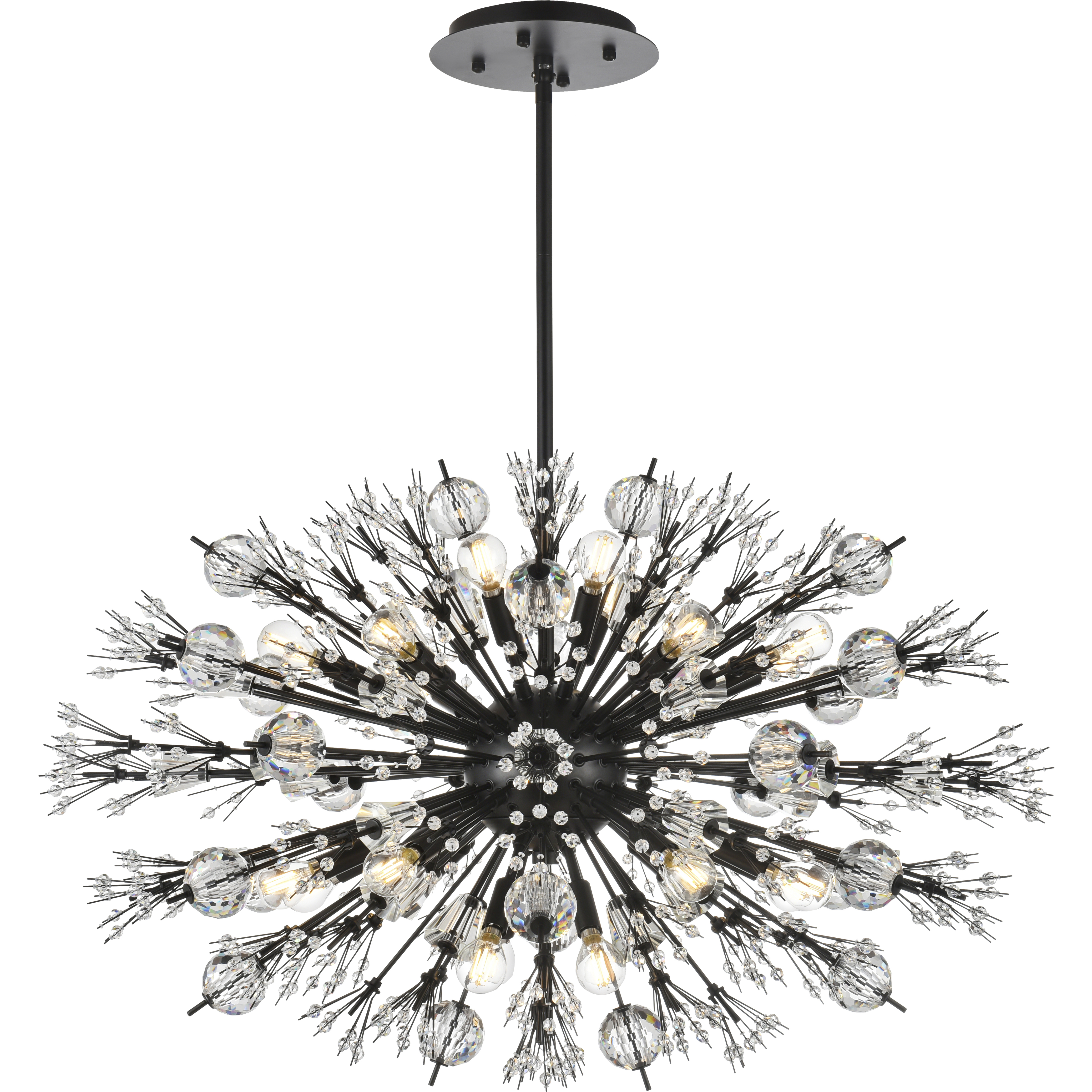 Vera 24 Light 36 inch Black Pendant Ceiling Light