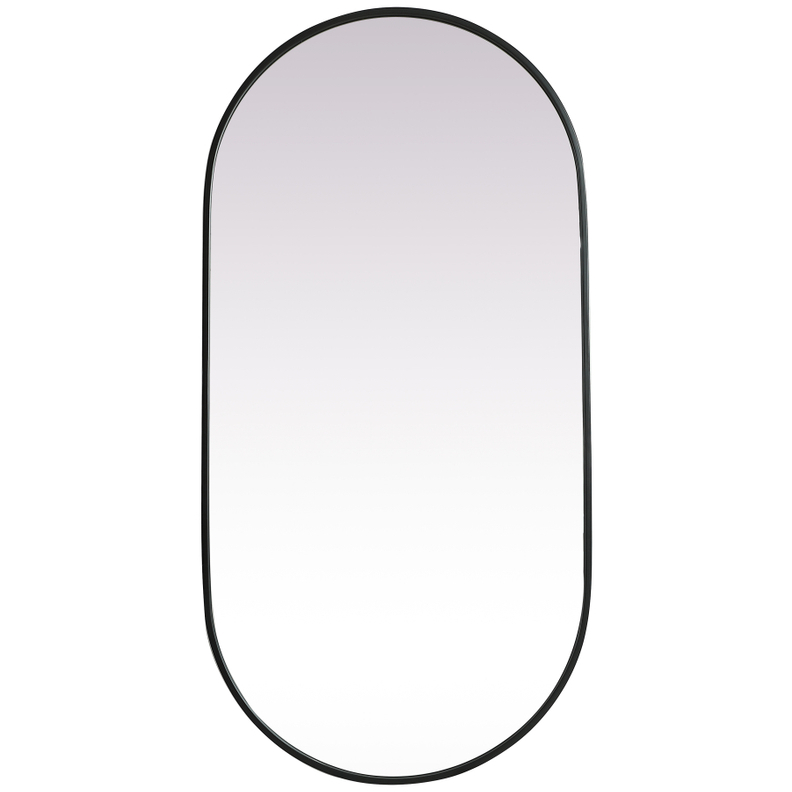 Asha 48 X 24 inch Black Mirror in 24 x 48