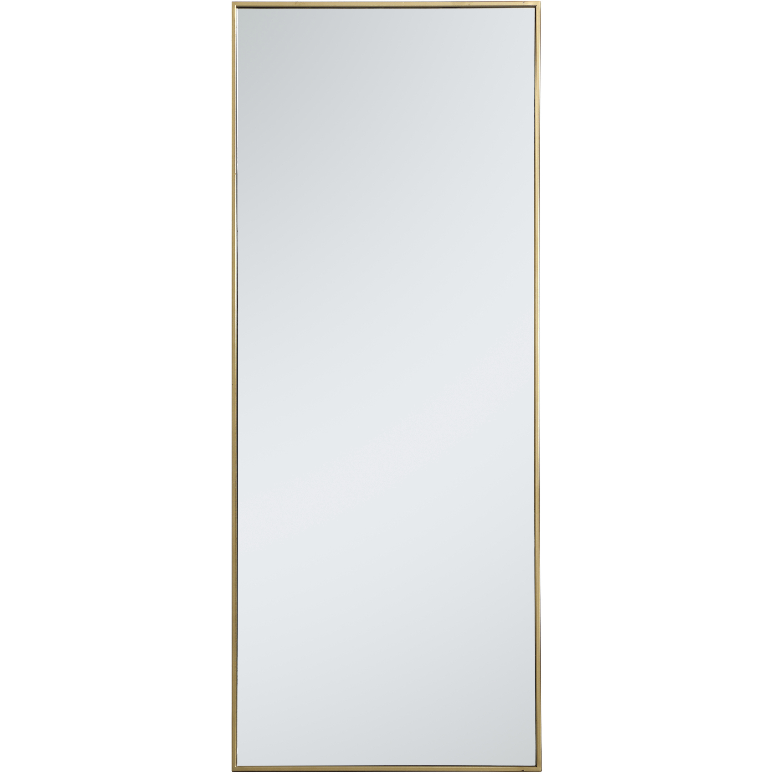 Monet 60 X 24 inch Brass Wall Mirror