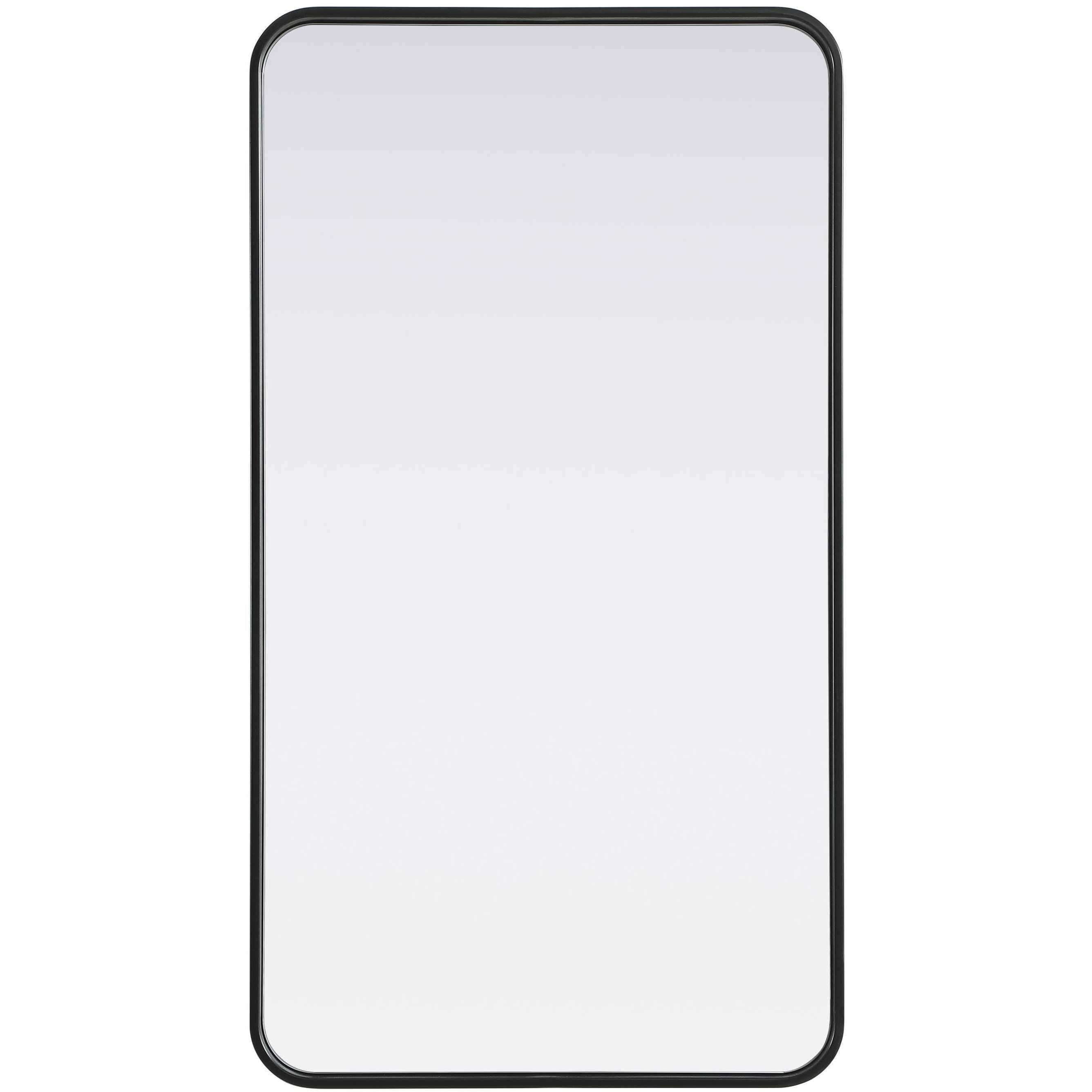 Remy 40 X 22 inch Black Mirror