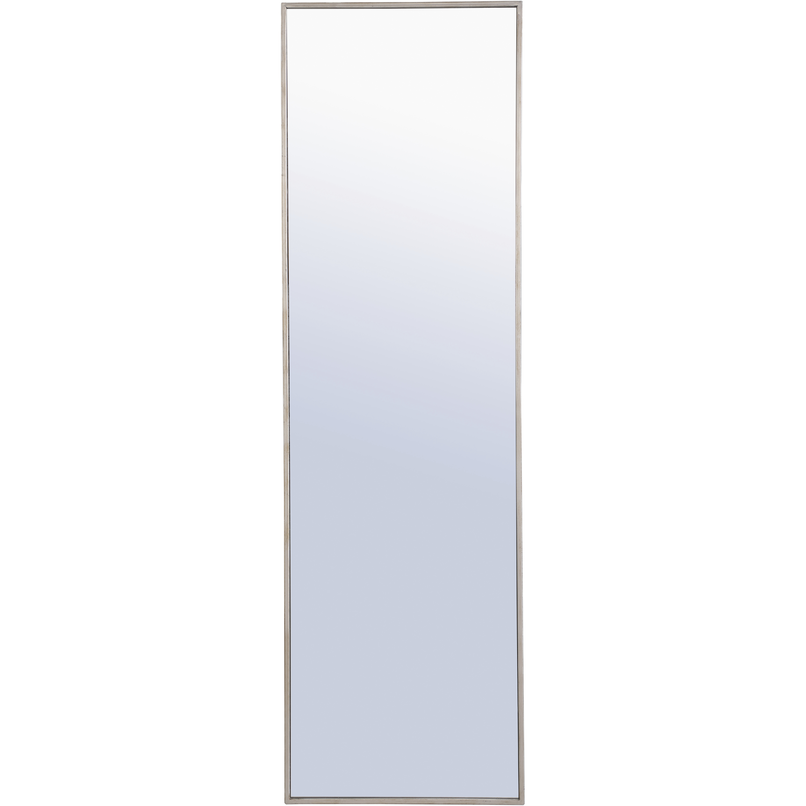 Monet 60 X 18 inch Silver Wall Mirror