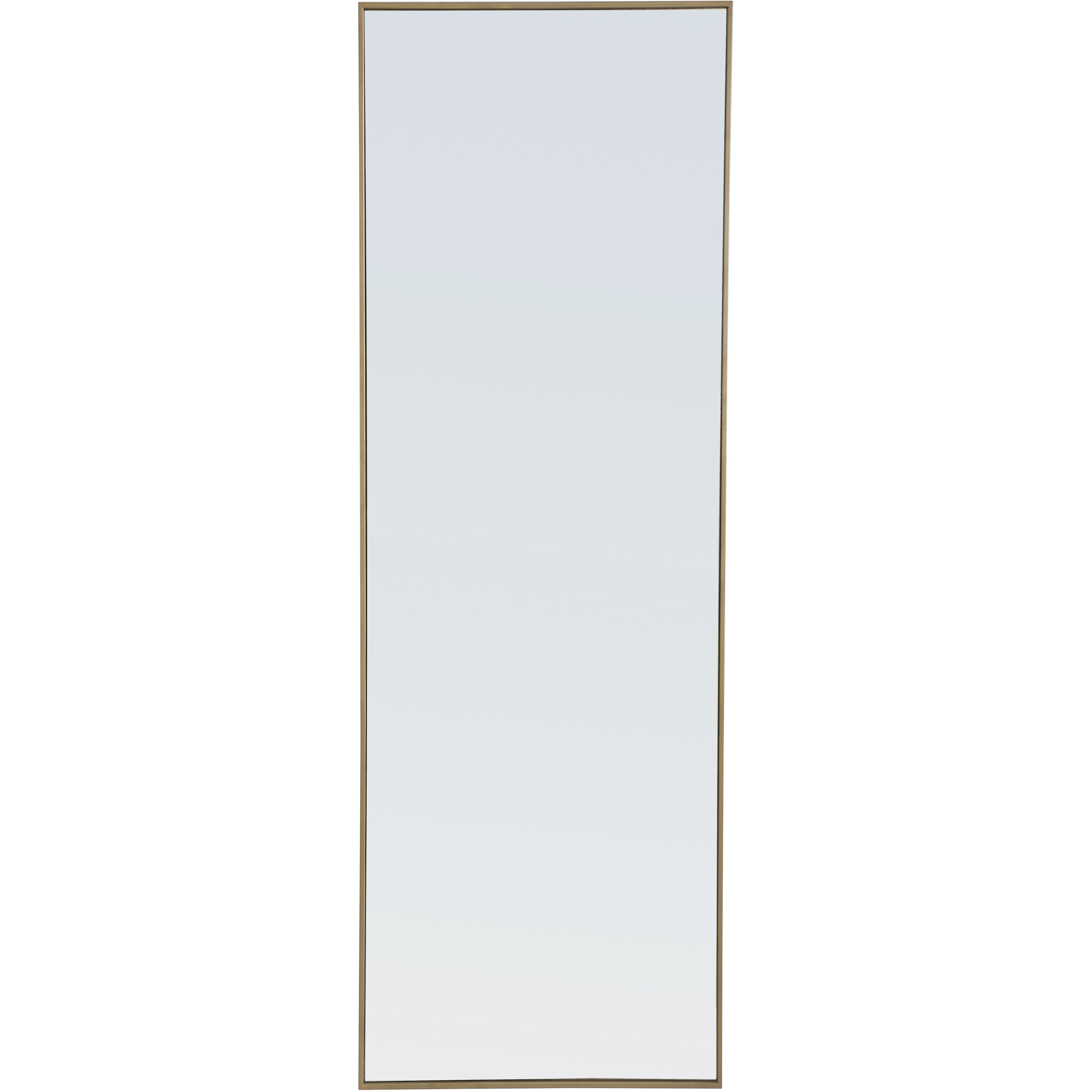 Monet 60 X 18 inch Brass Wall Mirror